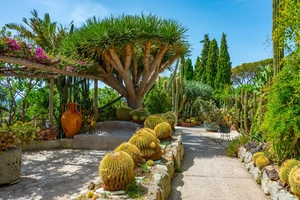 Grădinile Ravino — sejur charter Ischia