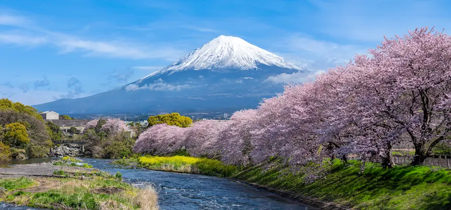 Hoteluri Tokyo, Japonia